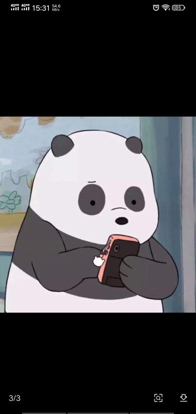 闺蜜头象来了哟！