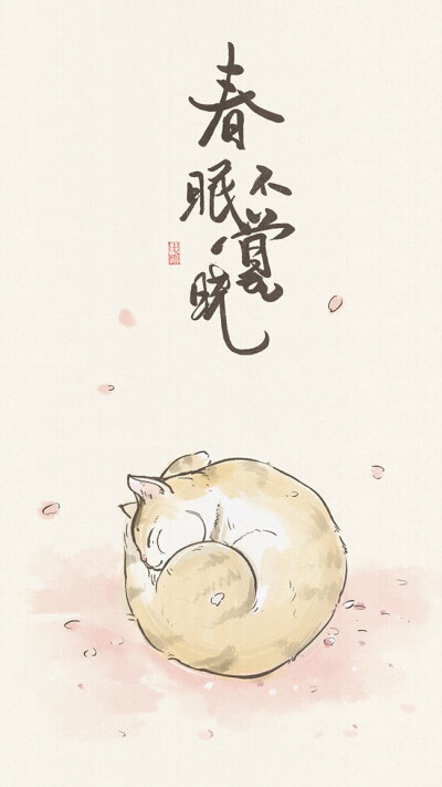 猫猫插画壁纸