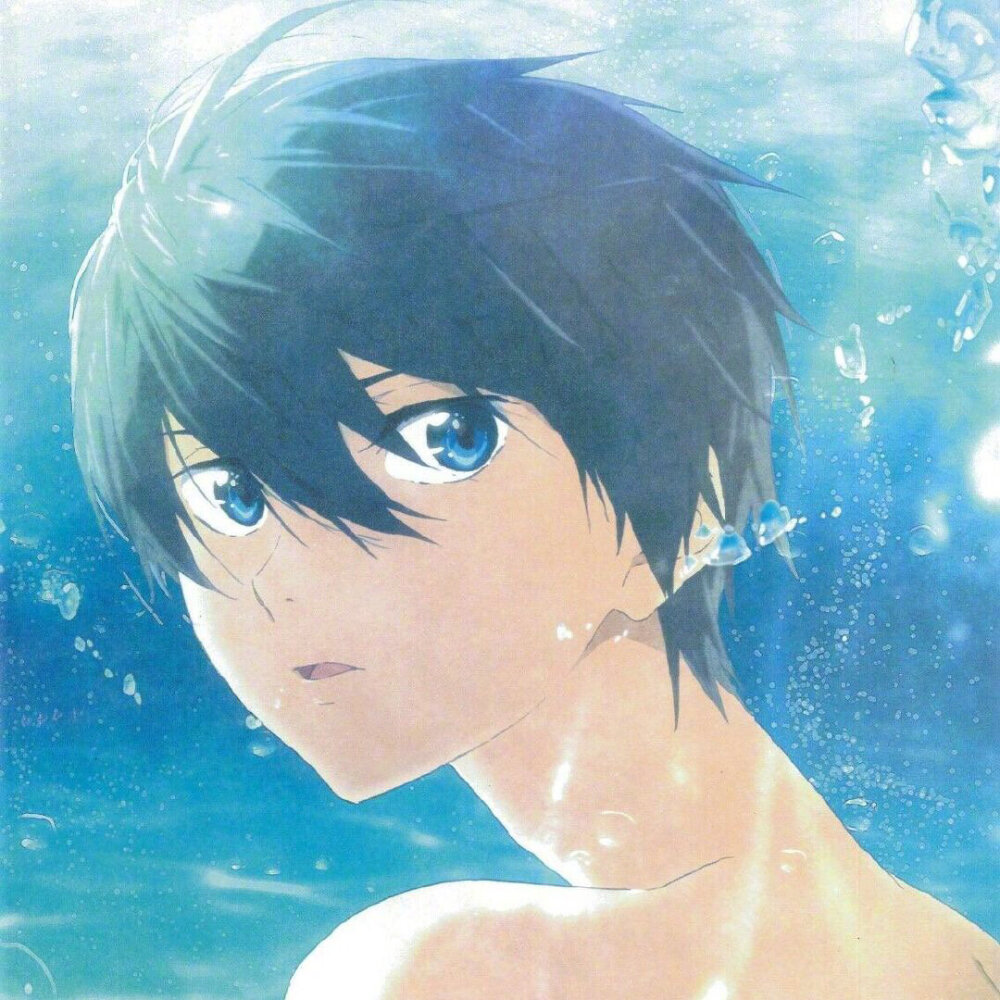 free！/松冈凛/七濑遥/橘真琴/龙崎怜/叶月渚