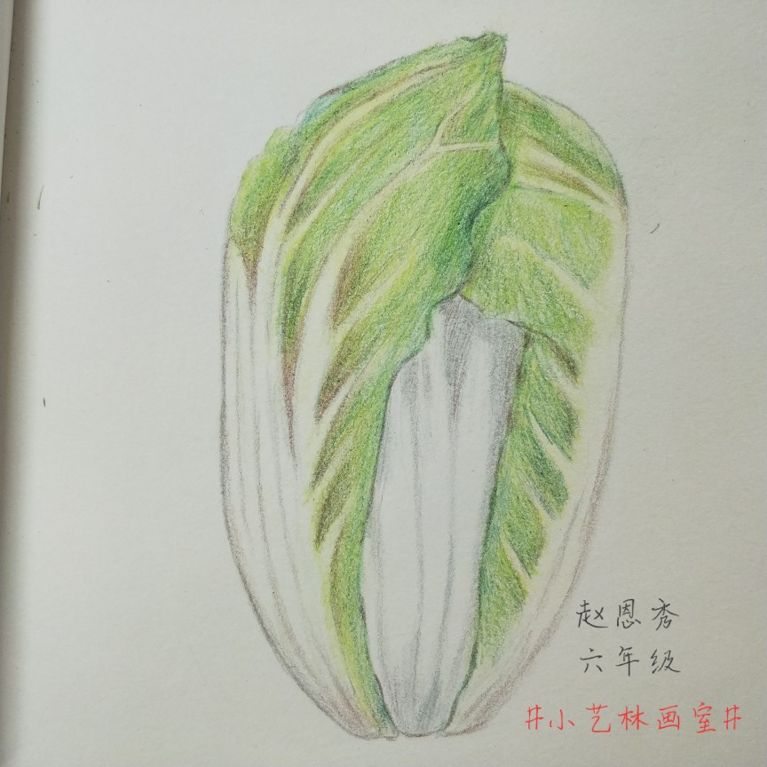 彩铅画，静物水果蔬菜