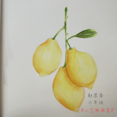 彩铅画，静物水果蔬菜