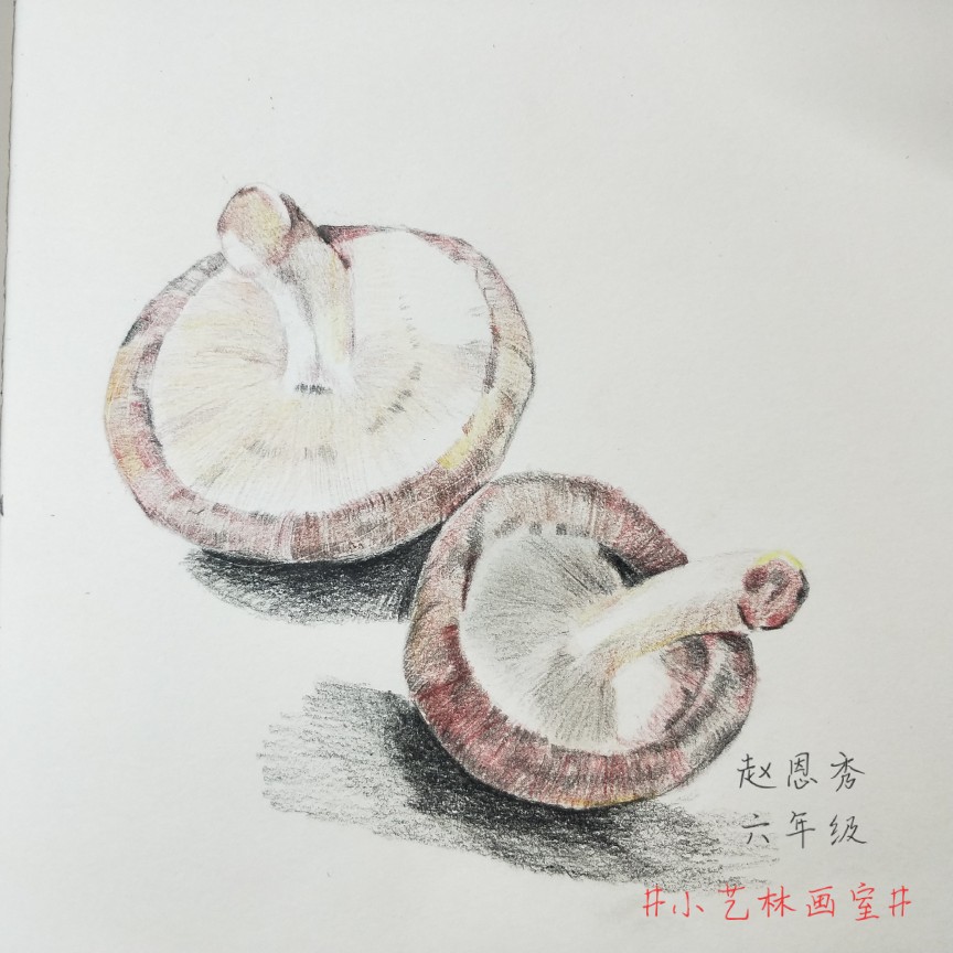 彩铅画，静物水果蔬菜