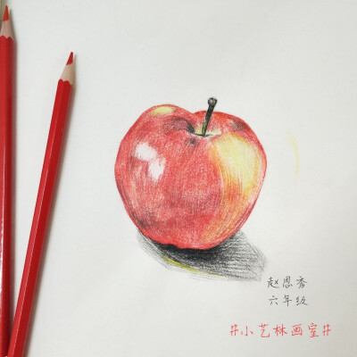 彩铅画，静物水果蔬菜