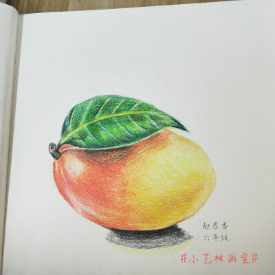 彩铅画，静物水果蔬菜