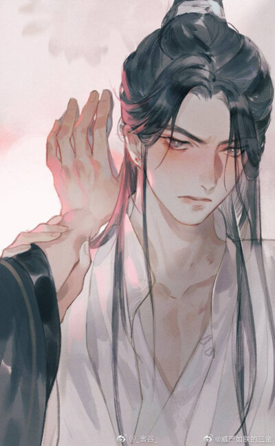 二哈和他的白猫师尊