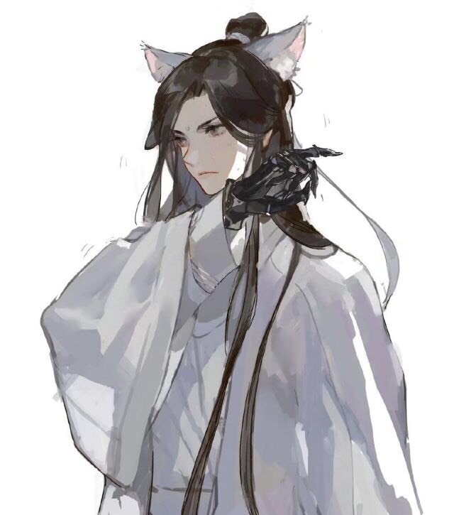 二哈和他的白猫师尊