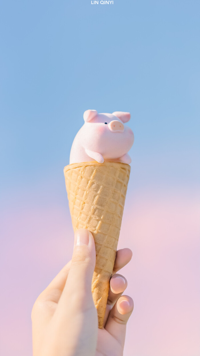 lu猪的夏天，摄影：七一林