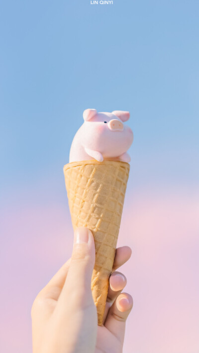 lu猪的夏天，摄影：七一林