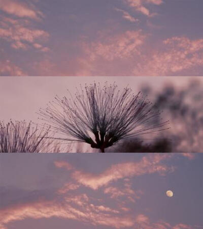 超级仙气滴朋友圈配图