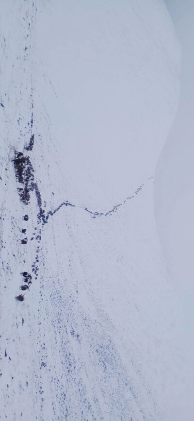 看看雪山