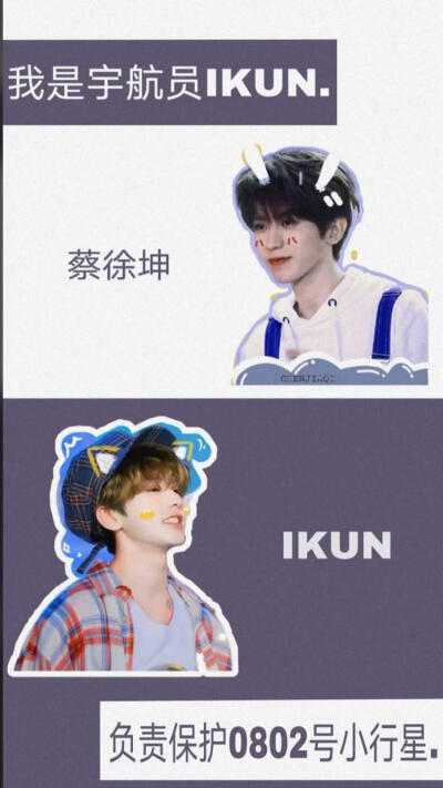 蔡小葵的壁纸.ikun