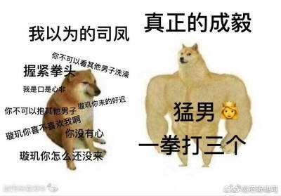 我满脑子都是司凤 啊我乱了