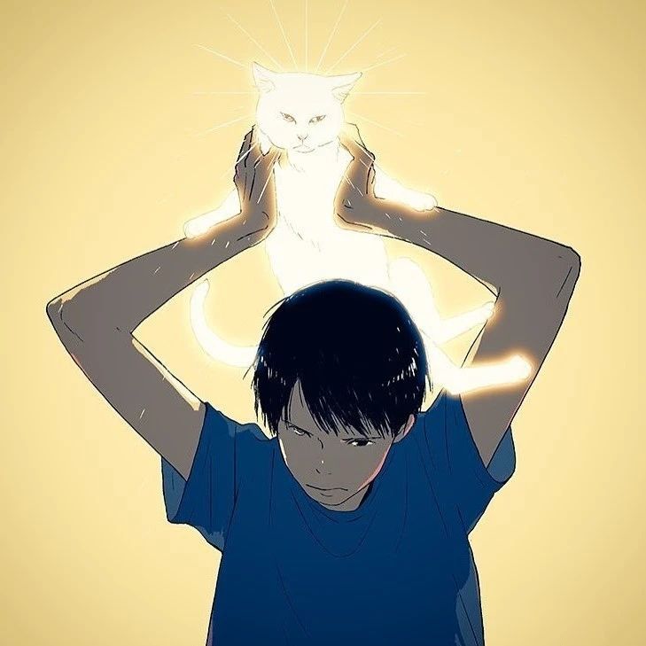 头像 —— 关注微信公众号：老白手机学堂，每日更新好看的壁纸和头像