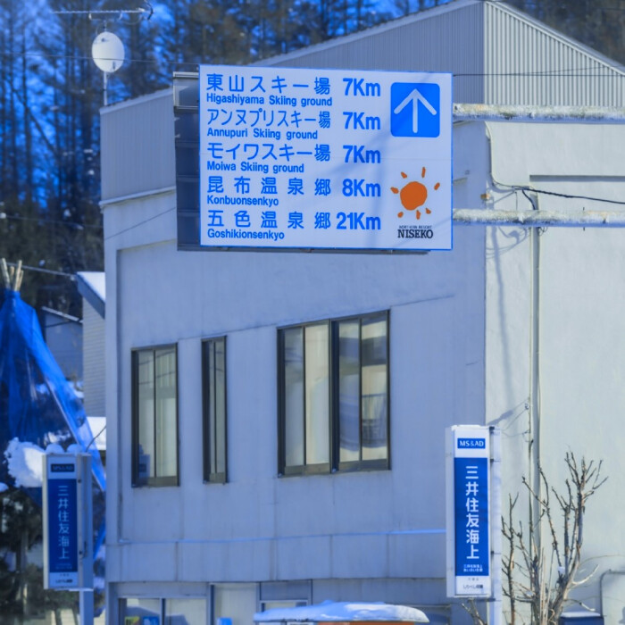 
: 卡 夫 卡 的 熊
