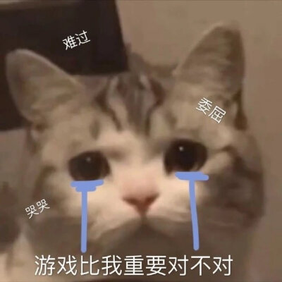 同志 请你去学习！
今日份搞怪沙雕可爱熊猫头萌娃表情包
源自各处 侵权删除