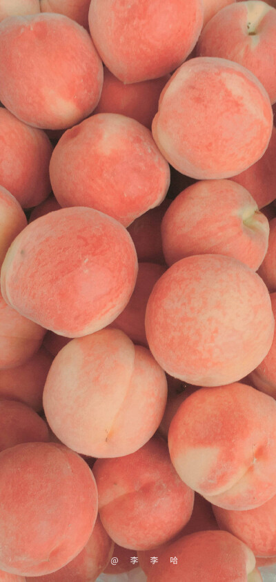 桃子味道的夏天即将过去，秋天是什么味道呢？