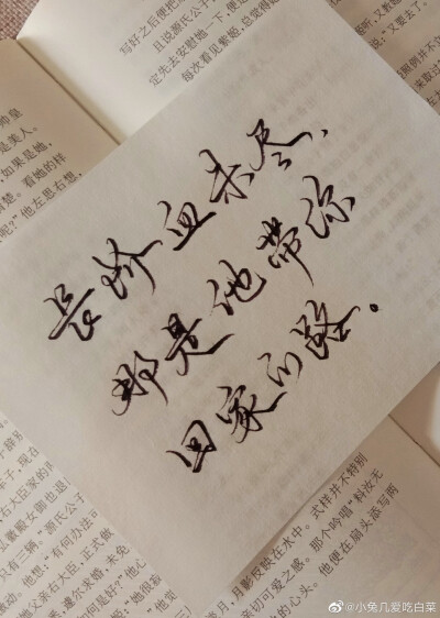 二哈和他的白猫师尊