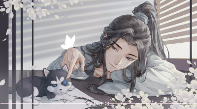 上面有作者及来源。《二哈和他的白猫师尊》