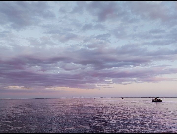 背景 壁纸 INS 古风 自然