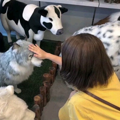 二转注明dt许恩