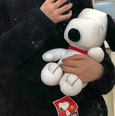 二转注明dt许恩