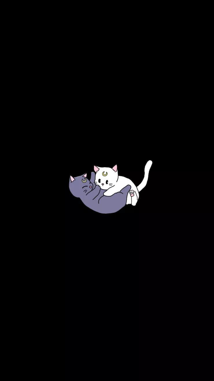 美少女战士 黑猫白猫系列壁纸