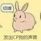 搞cp表情包