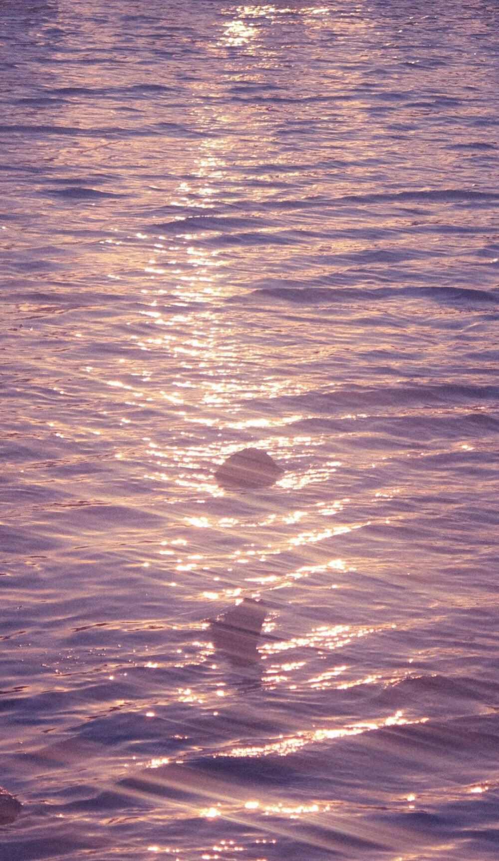 微信聊天背景，海洋系列