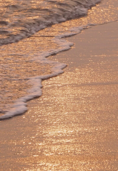 微信聊天背景，海洋系列