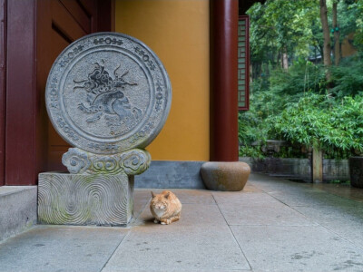 灵隐寺