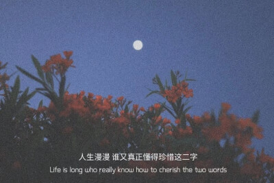 " 在这个年纪 金钱和长相决定了很多东西 "
#文字背景图##朋友圈配图##朋友圈文案#