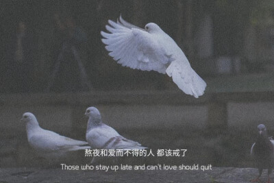 " 在这个年纪 金钱和长相决定了很多东西 "
#文字背景图##朋友圈配图##朋友圈文案#