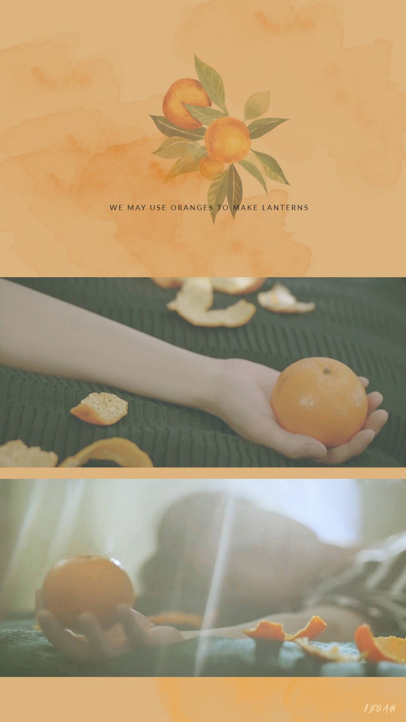 橙子 橙色壁纸 旺旺雪饼 可爱风 清新日系 鹅黄 窗户 花草