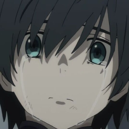 darlinginthefranxx情头