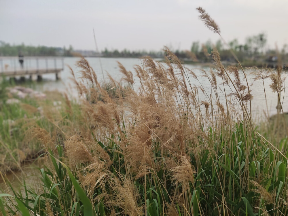 不仅仅是风景，也是回忆。