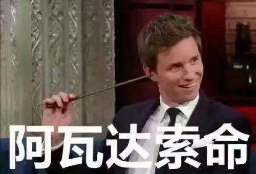 哈利波特表情包.