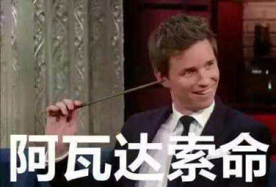 哈利波特表情包.