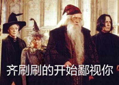 哈利波特表情包.