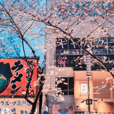 我来推荐好看的朋友圈壁纸啦！
大家快来康康