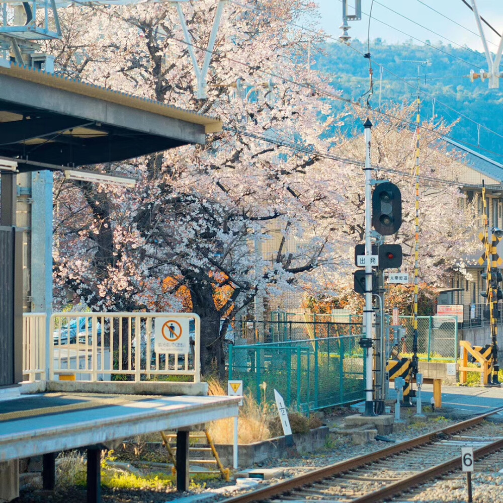 我来推荐好看的朋友圈壁纸啦！
大家快来康康