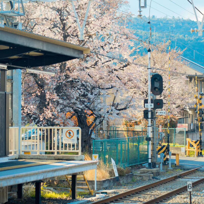 我来推荐好看的朋友圈壁纸啦！
大家快来康康