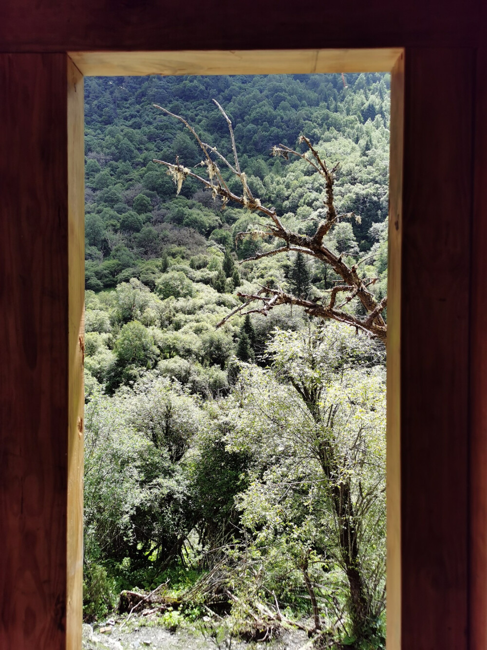 四姑娘山 川西 幺妹峰