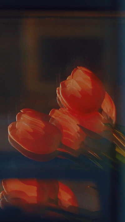 遇见是开始却也是离开的倒计时。 ​​​