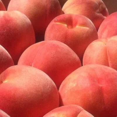 遇见是开始却也是离开的倒计时。 ​​​