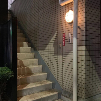 “一定要非常非常喜欢这个东西 你才能进步” ​​​