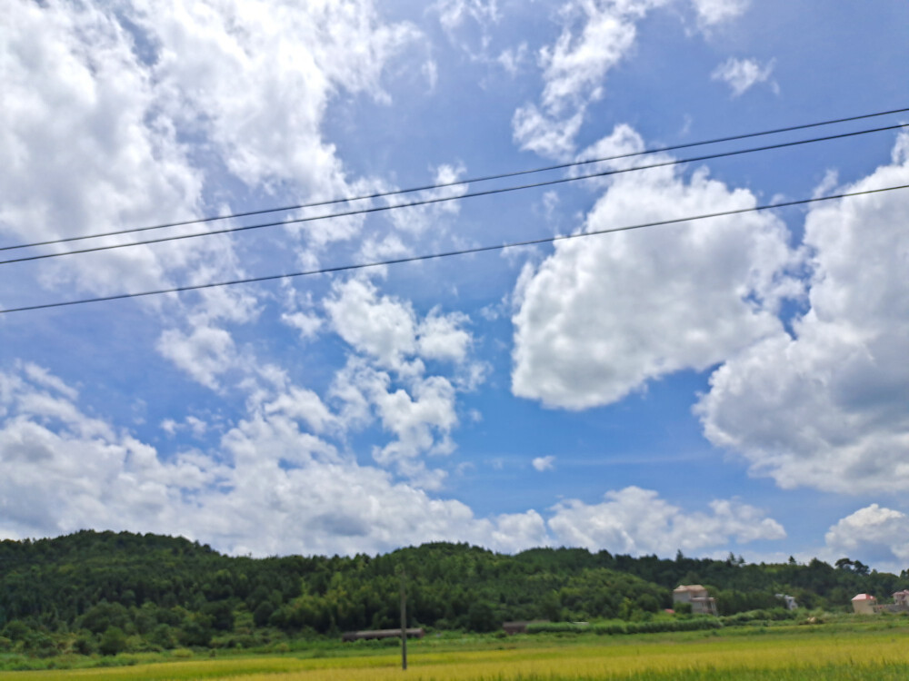 乡野风景