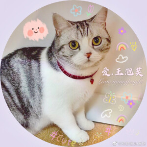 来一波芙的壁纸，来源：我是王泡芙微博超话