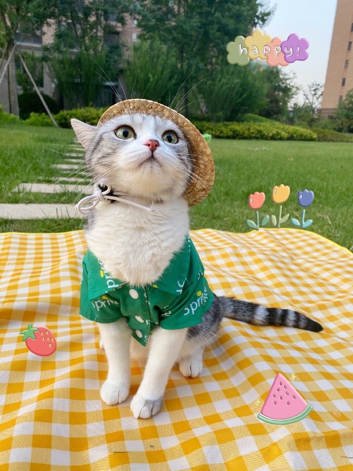 来一波芙的壁纸来源我是王泡芙微博超话