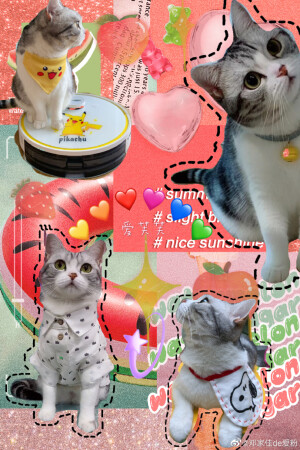 来一波芙的壁纸，来源：我是王泡芙微博超话