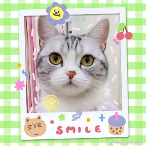 来一波芙的壁纸，来源：我是王泡芙微博超话